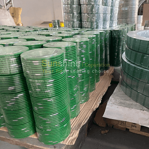 CGI Type Spiral Wound Gasket Factory