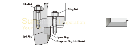 SBX and SRX RTJ Gaskets China