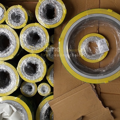 INCOLOY 800 Spiral Wound Gasket